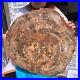 40_7LB_Natural_Petrified_Wood_Fossil_Crystal_Polished_Slice_Madagascar_1982_01_jbu