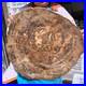 40_7LB_Natural_Petrified_Wood_Fossil_slab_Crystal_mineral_Slice_reiki_Healing_01_nr