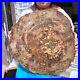 40_7LB_Natural_petrified_wood_fossil_crystal_polished_slice_Madagascar_1982_01_av
