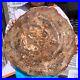 40_7LB_Natural_petrified_wood_fossil_crystal_polished_slice_Madagascar_1982_01_ktk