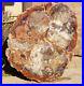 40_Inch_Fossil_Petrified_Mosaic_Wood_Round_Arizona_Chinle_Red_3_01_eejh