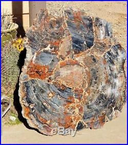 40 Inch Fossil Petrified Mosaic Wood Round Arizona Chinle Red Blue #2