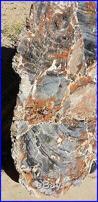 40 Inch Fossil Petrified Mosaic Wood Round Arizona Chinle Red Blue #2