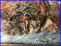 4127 grams RARE Petrified Wood Arizona Rainbow Natural Fossil Rough Raw