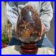 4140g_Beautiful_Large_Petrified_Wood_Fossil_Egg_Crystal_Home_Decor_Specimen_01_zd