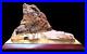 4172_Gr_ETREME_RARE_BOTRYOIDAL_CHALCEDONY_IN_PETRIFIED_WOOD_FOSSIL_INDONESIA_01_my