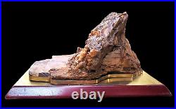 4172 Gr ETREME RARE BOTRYOIDAL CHALCEDONY IN PETRIFIED WOOD FOSSIL INDONESIA