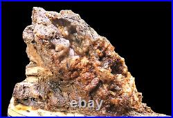 4172 Gr ETREME RARE BOTRYOIDAL CHALCEDONY IN PETRIFIED WOOD FOSSIL INDONESIA