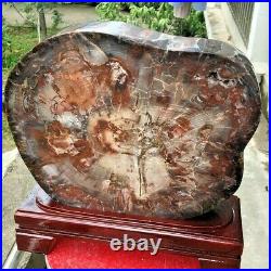 41.36lb Beautiful Petrified Wood Fossil Slice Crystal Freeform Madagascar+stand