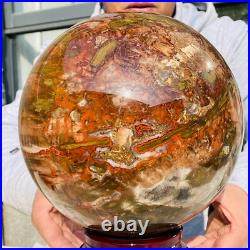 41.88lb Large Natural Petrified Wood Fossil Quartz Crystal Sphere Ball Healing 41.88lb Large Natural Petrified Wood Fossil Quartz Crystal Sphere Ball Healing