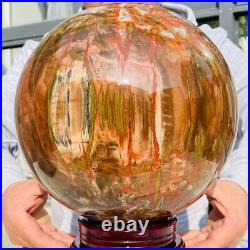 41.88lb Large Natural Petrified Wood Fossil Quartz Crystal Sphere Ball Healing 41.88lb Large Natural Petrified Wood Fossil Quartz Crystal Sphere Ball Healing