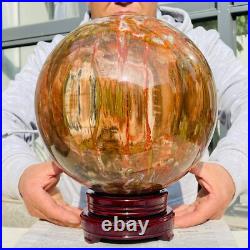 41.88lb Large Natural Petrified Wood Fossil Quartz Crystal Sphere Ball Healing 41.88lb Large Natural Petrified Wood Fossil Quartz Crystal Sphere Ball Healing