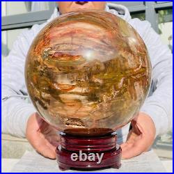 41.88lb Large Natural Petrified Wood Fossil Quartz Crystal Sphere Ball Healing 41.88lb Large Natural Petrified Wood Fossil Quartz Crystal Sphere Ball Healing