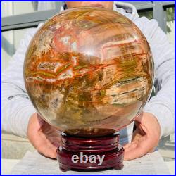41.88lb Large Natural Petrified Wood Fossil Quartz Crystal Sphere Ball Healing 41.88lb Large Natural Petrified Wood Fossil Quartz Crystal Sphere Ball Healing