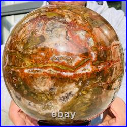 41.88lb Large Natural Petrified Wood Fossil Quartz Crystal Sphere Ball Healing 41.88lb Large Natural Petrified Wood Fossil Quartz Crystal Sphere Ball Healing