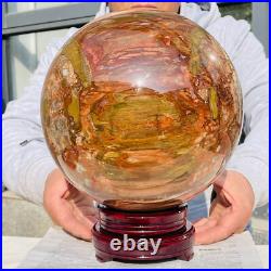 41.88lb Large Natural Petrified Wood Fossil Quartz Crystal Sphere Ball Healing 41.88lb Large Natural Petrified Wood Fossil Quartz Crystal Sphere Ball Healing
