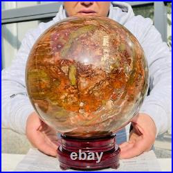 41.88lb Large Natural Petrified Wood Fossil Quartz Crystal Sphere Ball Healing 41.88lb Large Natural Petrified Wood Fossil Quartz Crystal Sphere Ball Healing