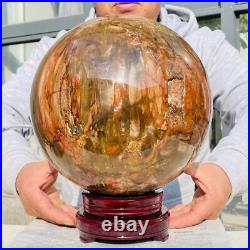 41.88lb Large Natural Petrified Wood Fossil Quartz Crystal Sphere Ball Healing 41.88lb Large Natural Petrified Wood Fossil Quartz Crystal Sphere Ball Healing