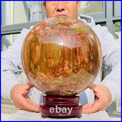 41.88lb Large Natural Petrified Wood Fossil Quartz Crystal Sphere Ball Healing 41.88lb Large Natural Petrified Wood Fossil Quartz Crystal Sphere Ball Healing
