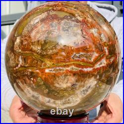 41.88lb Large Natural Petrified Wood Fossil Quartz Crystal Sphere Ball Healing 41.88lb Large Natural Petrified Wood Fossil Quartz Crystal Sphere Ball Healing