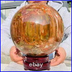 41.88lb Large Natural Petrified Wood Fossil Quartz Crystal Sphere Ball Healing 41.88lb Large Natural Petrified Wood Fossil Quartz Crystal Sphere Ball Healing