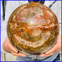 41.88lb Large Natural Petrified Wood Fossil Quartz Crystal Sphere Ball Healing 41.88lb Large Natural Petrified Wood Fossil Quartz Crystal Sphere Ball Healing