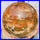 41_97lb_Large_Jade_Natural_Petrified_Wood_Crystal_Fossil_Sphere_Ball_Specimen_01_wjrf
