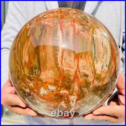 41.98lb Huge Natural Petrified Wood Crystal Fossil Sphere Ball Specimen Healing