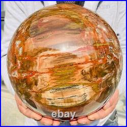 41.98lb Huge Natural Petrified Wood Crystal Fossil Sphere Ball Specimen Healing