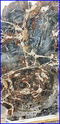42 Inch Fossil Petrified Wood Mosaic Round Table Arizona Chinle Red Blue #2