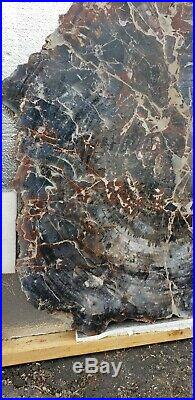 42 Inch Fossil Petrified Wood Mosaic Round Table Arizona Chinle Red Blue #5