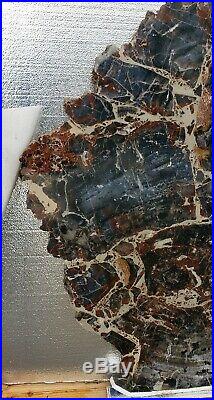 42 Inch Fossil Petrified Wood Mosaic Round Table Arizona Chinle Red Blue #6
