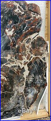 42 Inch Fossil Petrified Wood Mosaic Round Table Arizona Chinle Red Blue #6