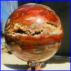 4399g Large Natural Petrified Wood Fossil Crystal Geode Sphere Ball Healing
