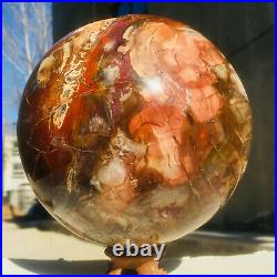4399g Large Natural Petrified Wood Fossil Crystal Geode Sphere Ball Healing