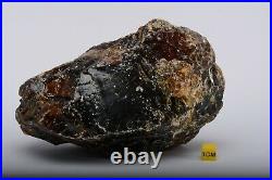 439g UV BLUE AMBER Sumatra Indonesia Natural Rough Mineral Fossil Crystal DDL354