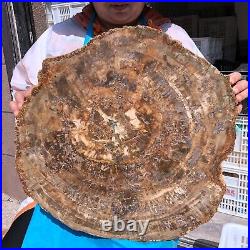 43.12LB Natural Petrified Wood Fossil Crystal Polished Slice- Madagascar