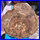 43_12LB_Natural_petrified_wood_fossil_crystal_polished_slice_Madagascar_1981_01_kjuu