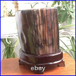 43.4 LB Natural PETRIFIED WOOD FOSSIL Polished Display Sample #E10 43.4 LB Natural PETRIFIED WOOD FOSSIL Polished Display Sample #E10