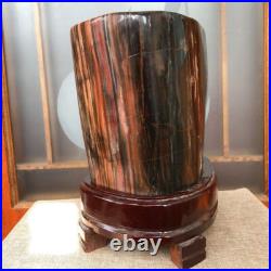 43.4 LB Natural PETRIFIED WOOD FOSSIL Polished Display Sample #E10 43.4 LB Natural PETRIFIED WOOD FOSSIL Polished Display Sample #E10