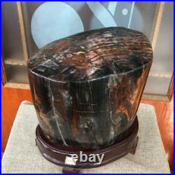 43.4 LB Natural PETRIFIED WOOD FOSSIL Polished Display Sample #E10 43.4 LB Natural PETRIFIED WOOD FOSSIL Polished Display Sample #E10