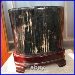 43.4 LB Natural PETRIFIED WOOD FOSSIL Polished Display Sample #E10 43.4 LB Natural PETRIFIED WOOD FOSSIL Polished Display Sample #E10