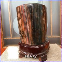 43.4 LB Natural PETRIFIED WOOD FOSSIL Polished Display Sample #E10 43.4 LB Natural PETRIFIED WOOD FOSSIL Polished Display Sample #E10