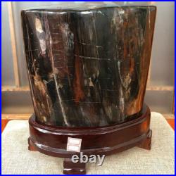 43.4 LB Natural PETRIFIED WOOD FOSSIL Polished Display Sample #E10 43.4 LB Natural PETRIFIED WOOD FOSSIL Polished Display Sample #E10