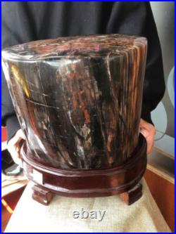 43.4 LB Natural PETRIFIED WOOD FOSSIL Polished Display Sample #E10 43.4 LB Natural PETRIFIED WOOD FOSSIL Polished Display Sample #E10