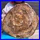 43_56LB_Large_Natural_Petrified_Wood_Crystal_Fossil_Slice_Shape_Specimen_Healing_01_so