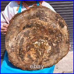 43.56LB Large Natural Petrified Wood Crystal Fossil Slice Shape Specimen Healing