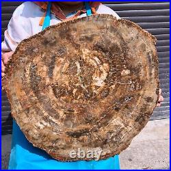 43.56LB Large Natural Petrified Wood Crystal Fossil Slice Shape Specimen Healing