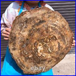 43.56LB Large Natural Petrified Wood Crystal Fossil Slice Shape Specimen Healing