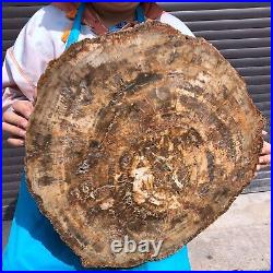 43.56LB Large Natural Petrified Wood Crystal Fossil Slice Shape Specimen Healing